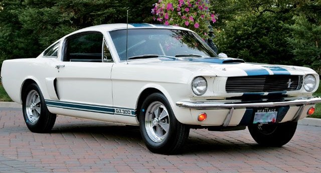 66 Shelby GT350